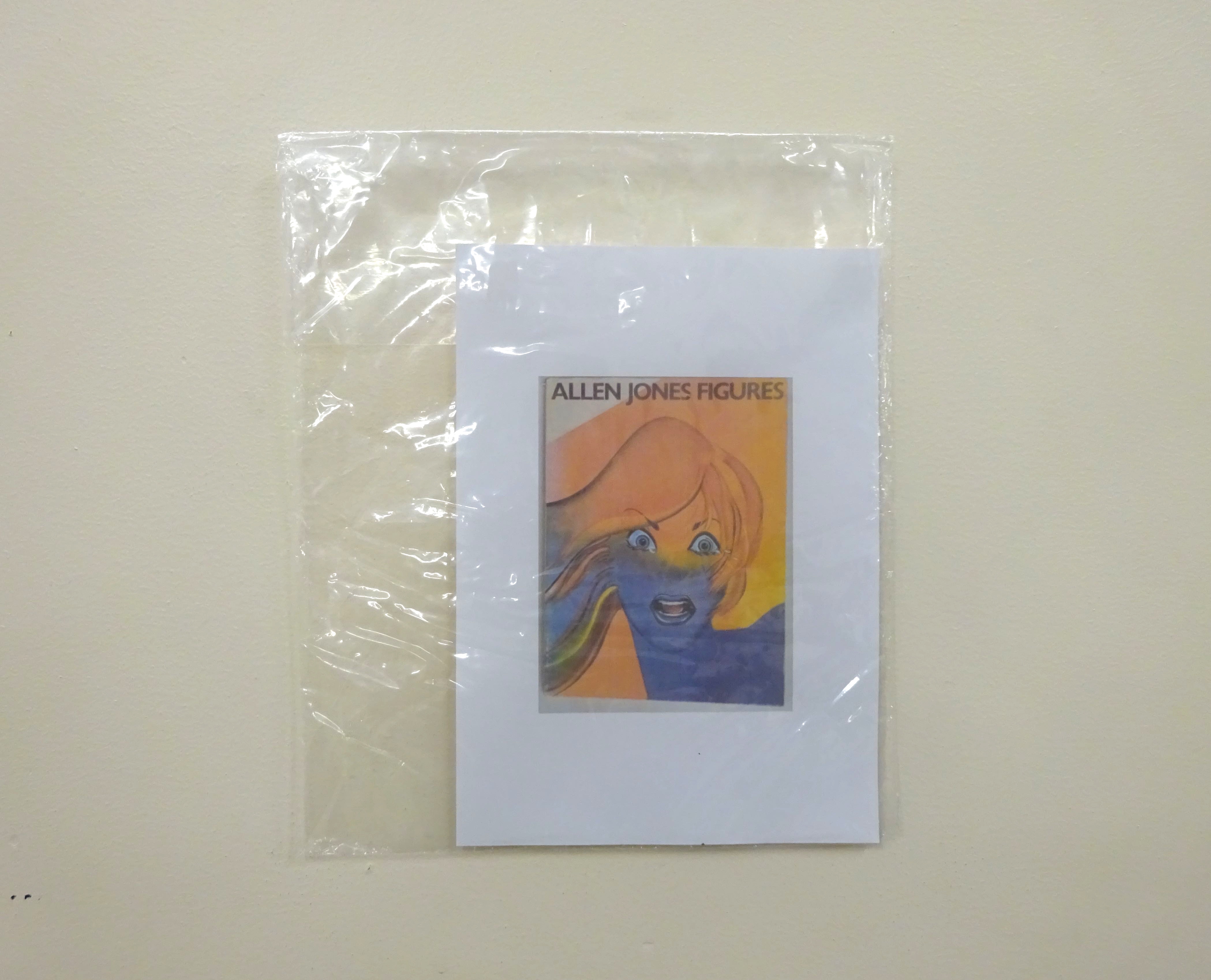 Rhianna Turnbull - Penarth Centre, 2015 colour photocopy, plastic packaging